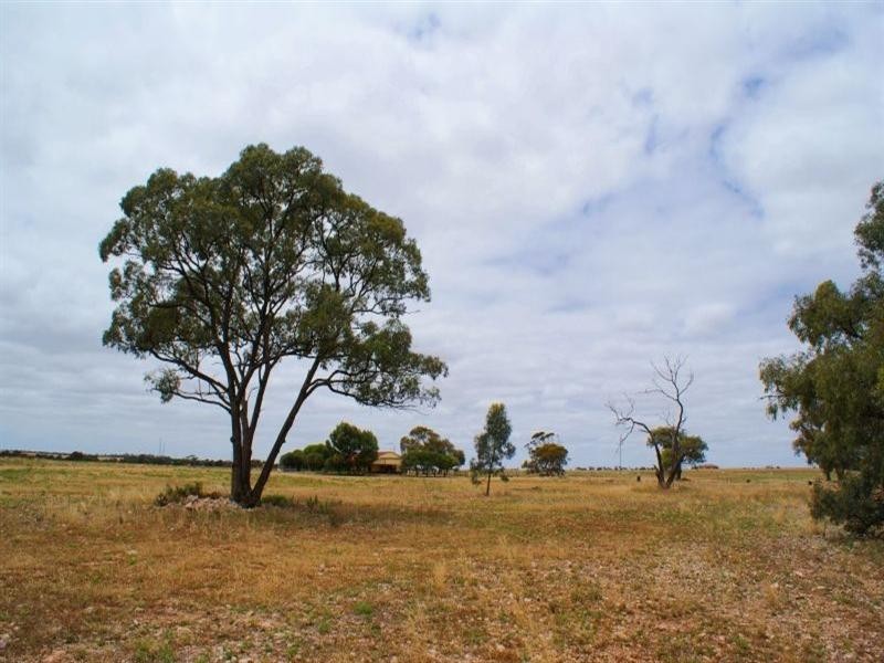 Lot 50 Kepa Road, Murray Bridge SA 5253