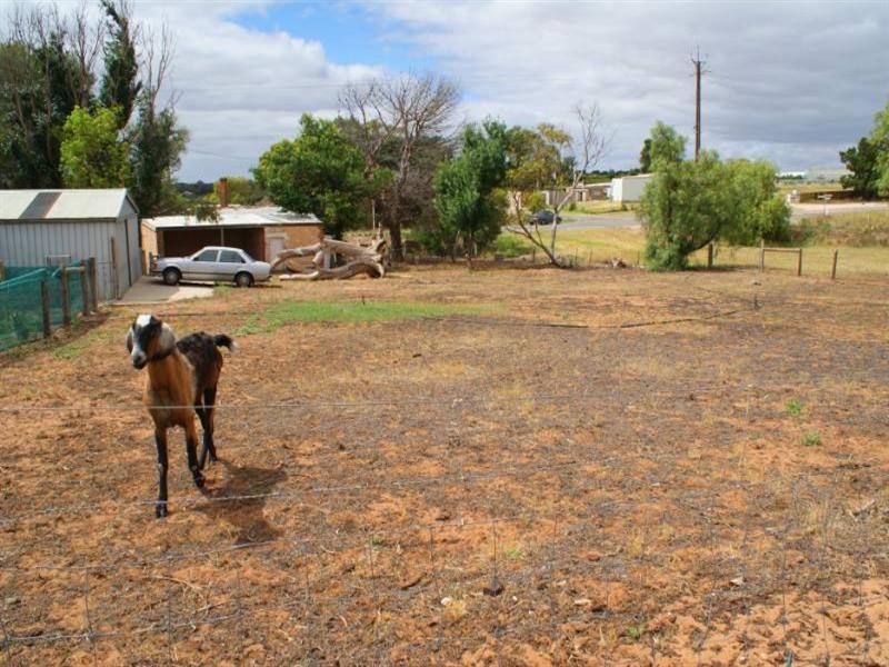 9 Kallina Drive, Mypolonga SA 5254