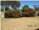 14 Elm Avenue, Murray Bridge SA 5253
