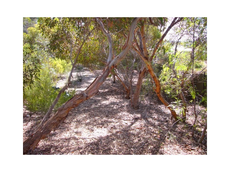 17 Florence Street, Murray Bridge SA 5253