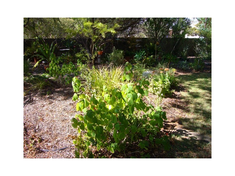 17 Florence Street, Murray Bridge SA 5253