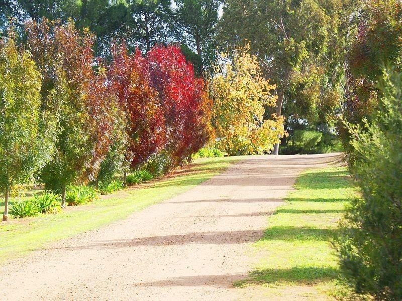 17066 Karoonda Road, Murray Bridge SA 5253