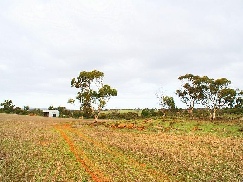 333,334,364 Anders and Law Road, Rockleigh SA 5254