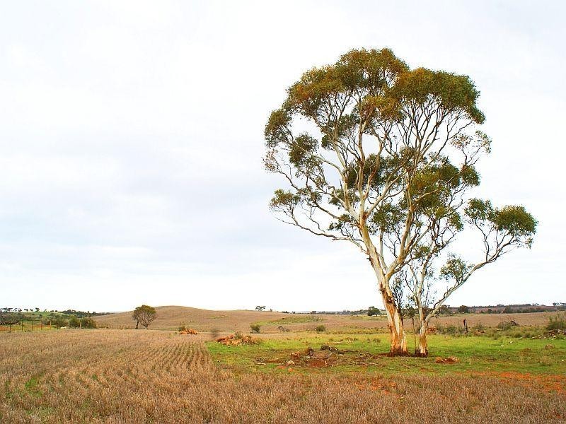 333,334,364 Anders and Law Road, Rockleigh SA 5254