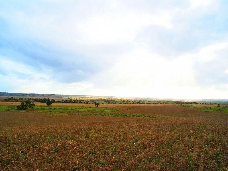 333,334,364 Anders and Law Road, Rockleigh SA 5254