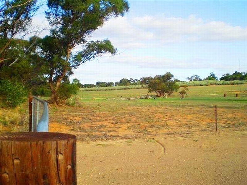 115 and 116 West Terrace, Karoonda SA 5307