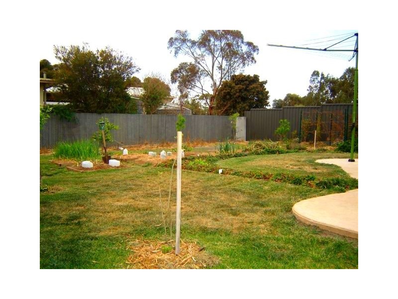 22 Wattle Street, Murray Bridge SA 5253