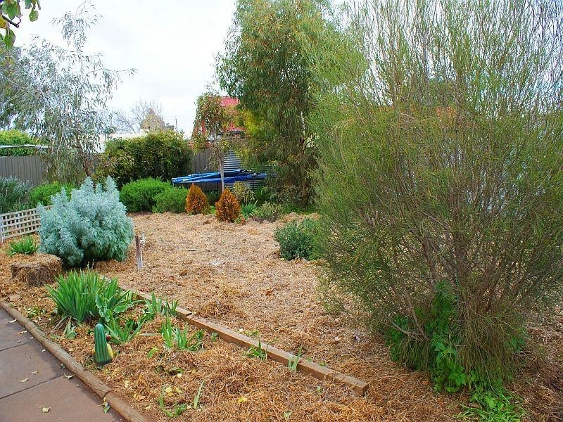 20 William Street, Murray Bridge SA 5253