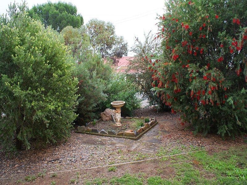 16 Elizabeth Street, Murray Bridge SA 5253