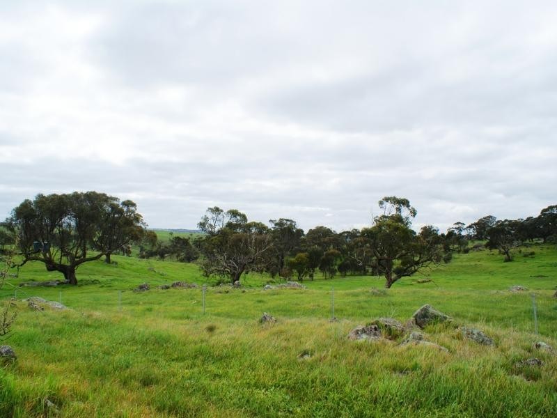 Sec 415 (Mt Barker Area) Bondleigh Road, Rockleigh SA 5254