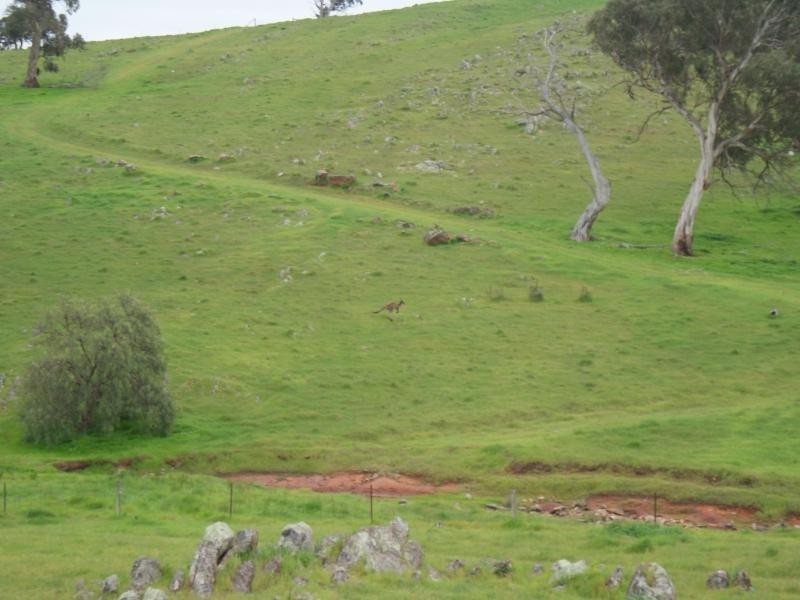 Sec 415 (Mt Barker Area) Bondleigh Road, Rockleigh SA 5254