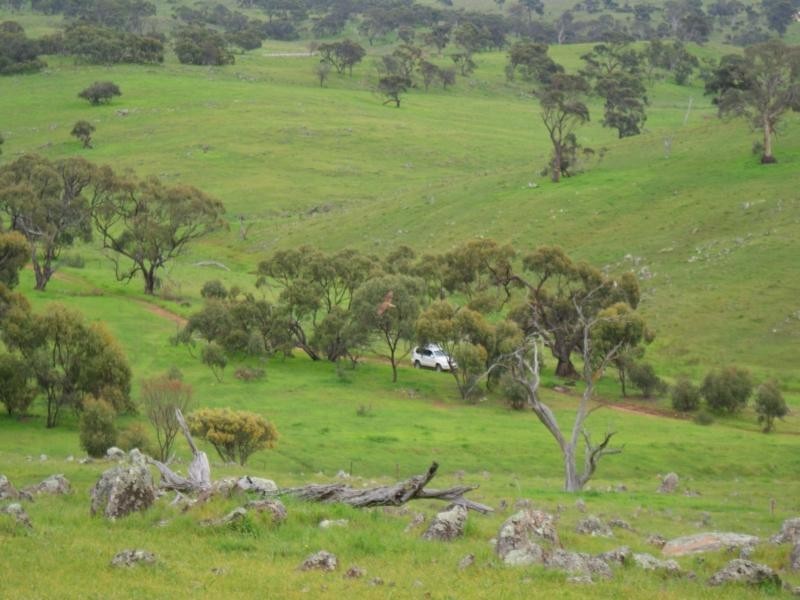 Sec 415 (Mt Barker Area) Bondleigh Road, Rockleigh SA 5254