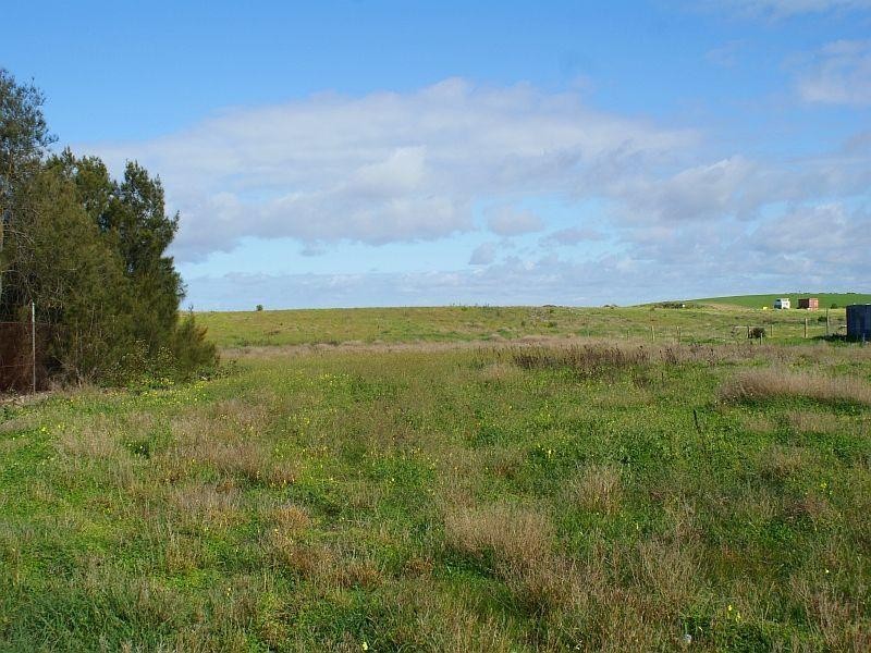 Lot 206 Jervois Road, Jervois SA 5259