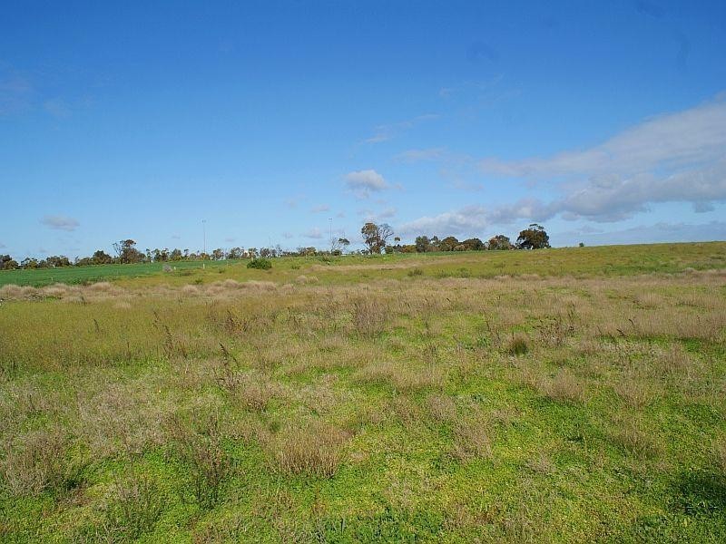 Lot 206 Jervois Road, Jervois SA 5259