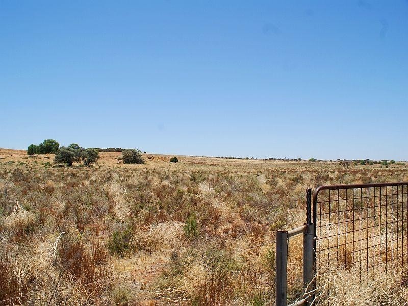 Lots 71 and 72 Weidenhofer Road, Ponde SA 5238