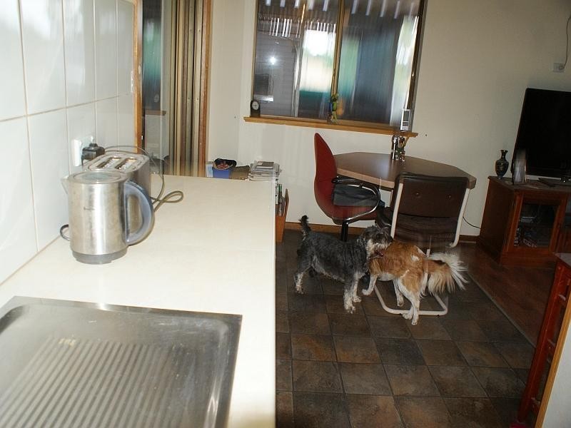 508 Lime Kiln Road, Tailem Bend SA 5260