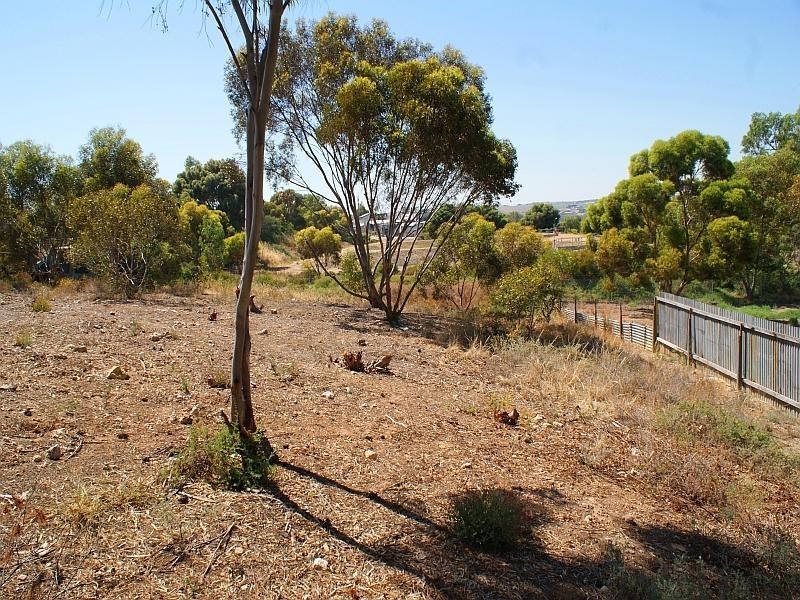 4 King George Street, Mannum SA 5238