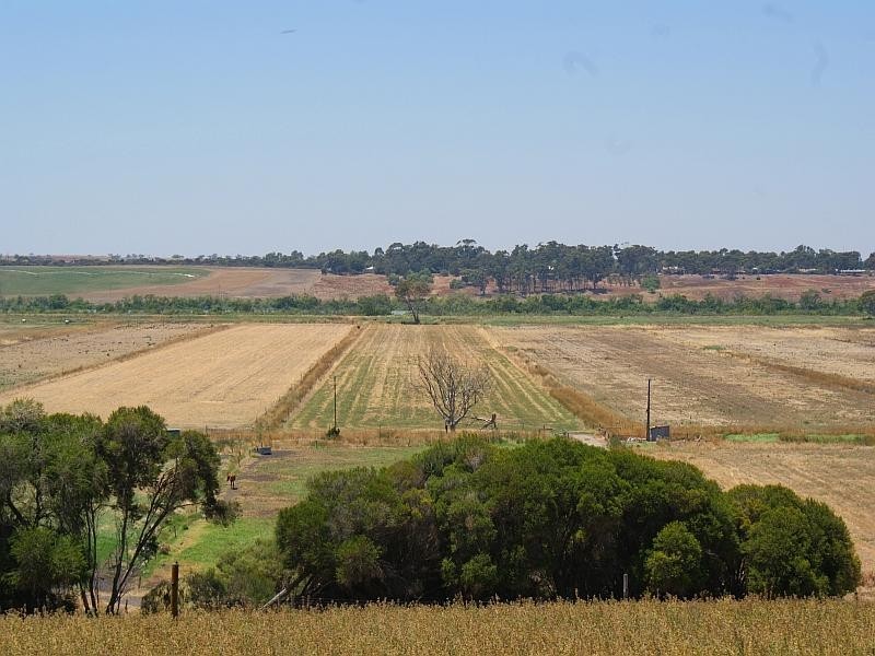 Sec 804 Jervois Road, Woods Point SA 5253