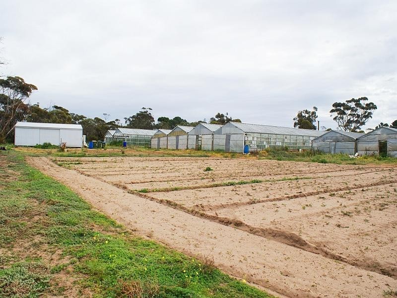 Lot 162 Old Swanport Road, Murray Bridge SA 5253