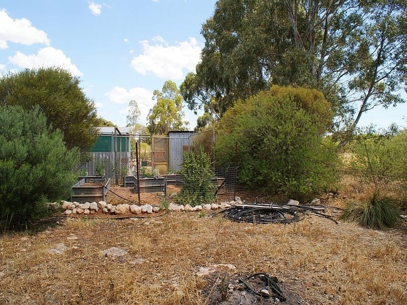 508 Lime Kiln Road, Tailem Bend SA 5259