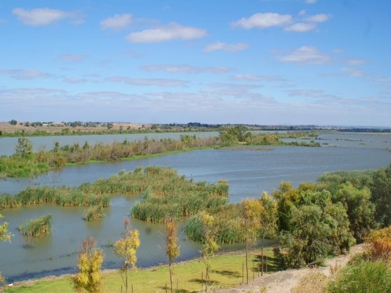 Lot 12 Riverview Estate, Tailem Bend SA 5260
