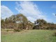 Lot 521 Crow Road, Murray Bridge SA 5253