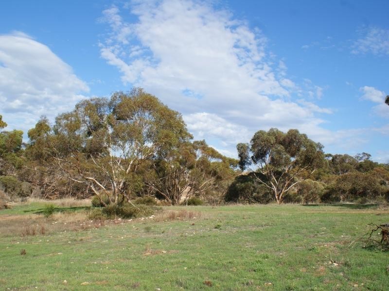 Lot 521 Crow Road, Murray Bridge SA 5253