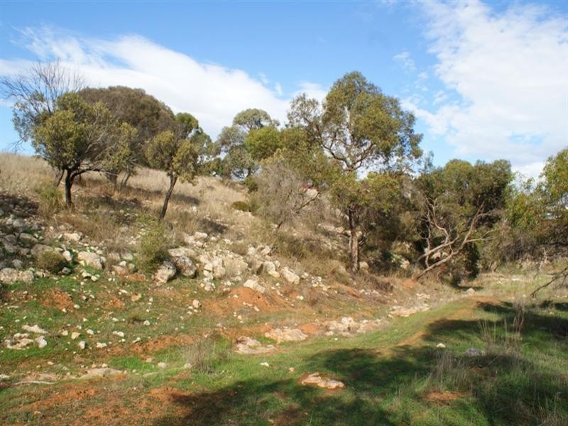 Lot 521 Crow Road, Murray Bridge SA 5253
