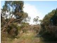 Lot 521 Crow Road, Murray Bridge SA 5253