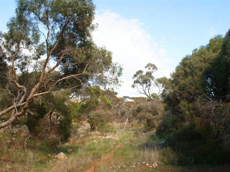 Lot 521 Crow Road, Murray Bridge SA 5253