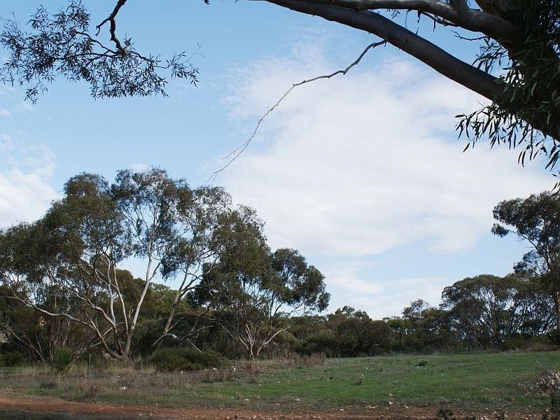 Lot 521 Crow Road, Murray Bridge SA 5253