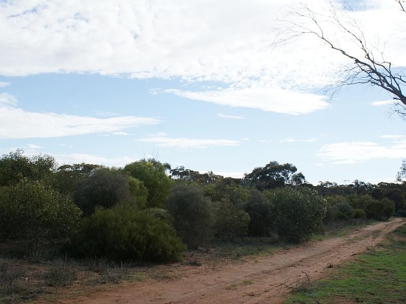Lot 521 Crow Road, Murray Bridge SA 5253