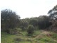Lot 521 Crow Road, Murray Bridge SA 5253