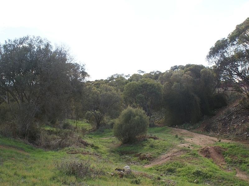 Lot 521 Crow Road, Murray Bridge SA 5253