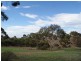 Lot 521 Crow Road, Murray Bridge SA 5253