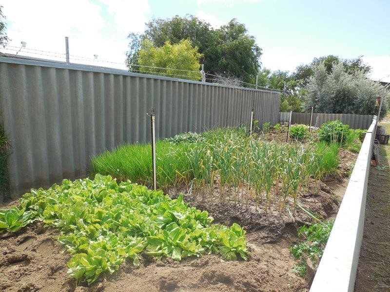 7 Mullins Way, Lancelin WA 6044