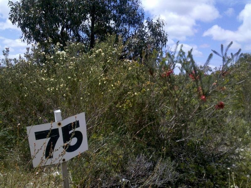 LOT 75 Indiana Crescent, Karakin WA 6044