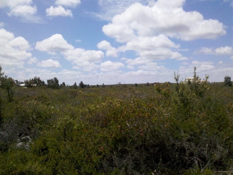 LOT 75 Indiana Crescent, Karakin WA 6044