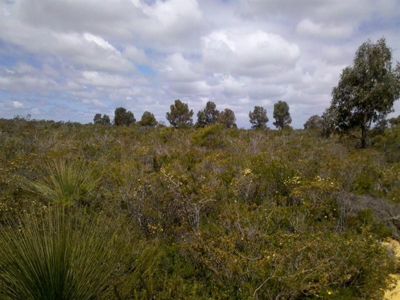 LOT 75 Indiana Crescent, Karakin WA 6044