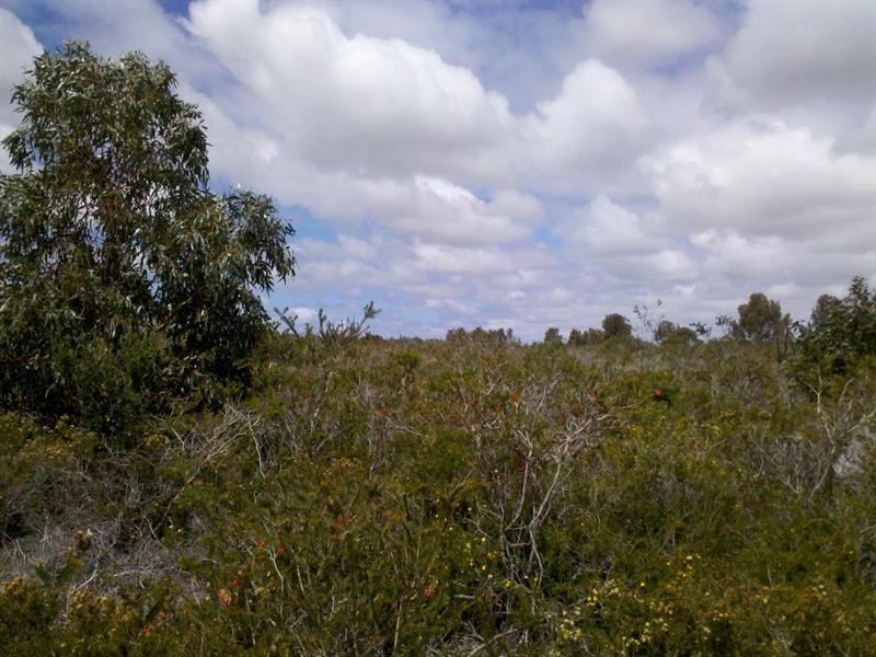 LOT 75 Indiana Crescent, Karakin WA 6044