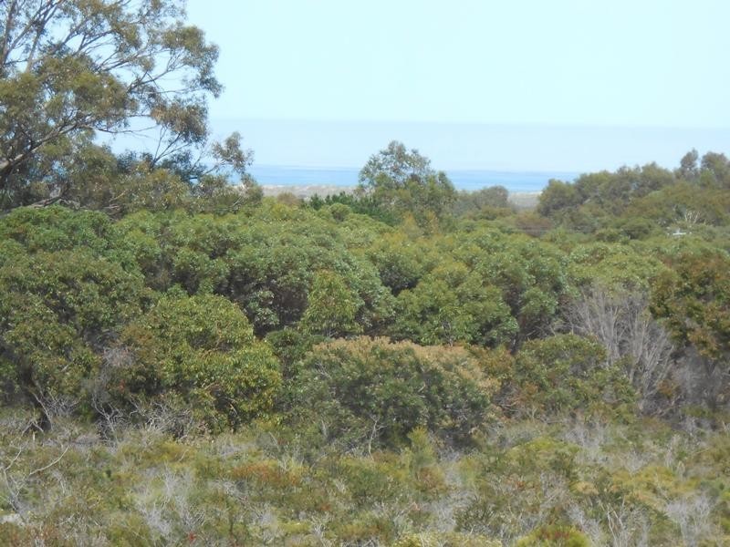 421 Ocean Farm Drive, Nilgen WA 6044