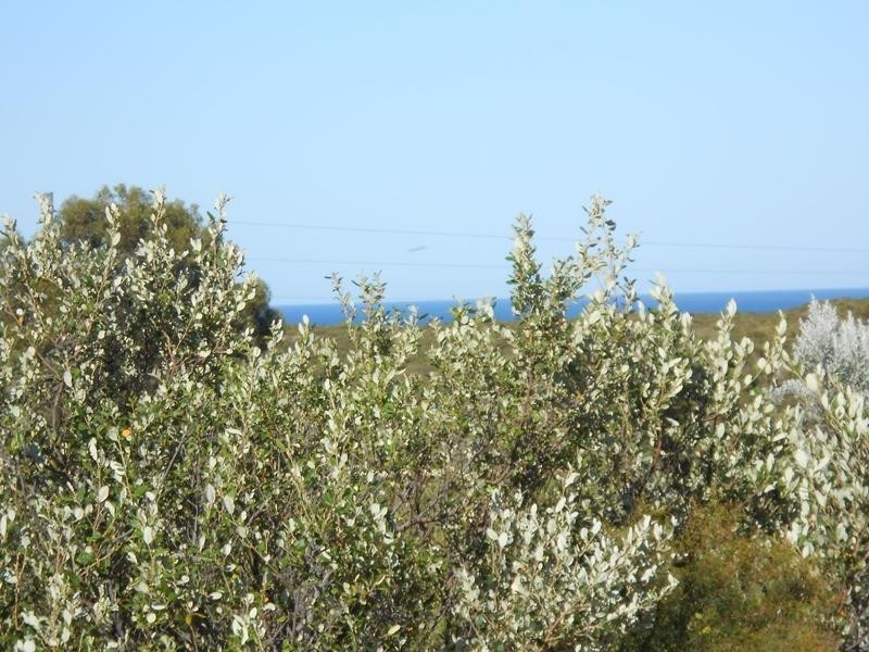 123 Sunset Court, Karakin WA 6044