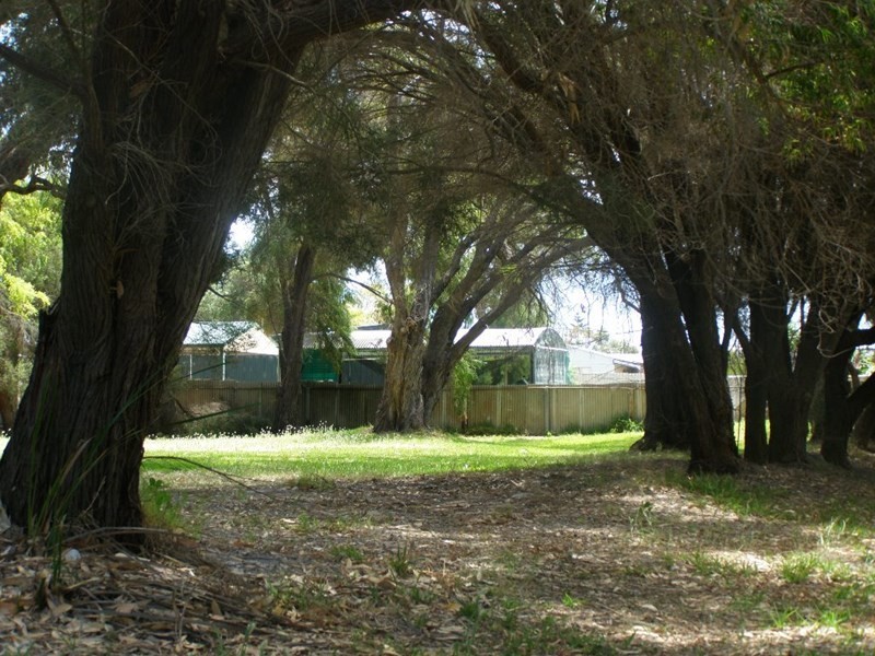 3 Bandy Avenue, Lancelin WA 6044