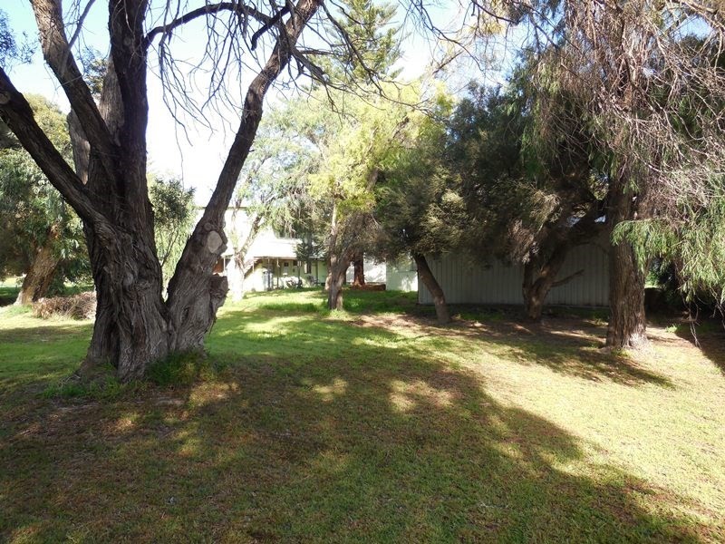 3 Bandy Avenue, Lancelin WA 6044