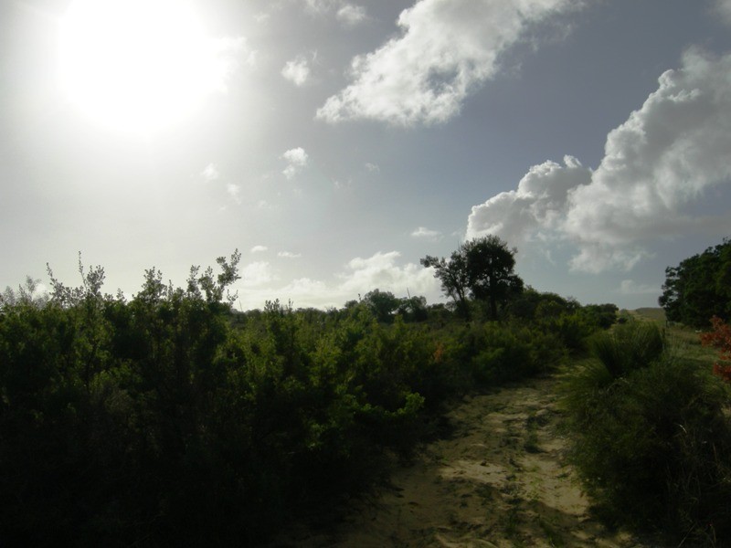 34 Sappers, Nilgen WA 6044