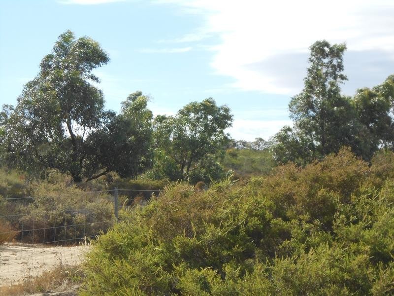 Lot 205 Olive Grove, Karakin WA 6044