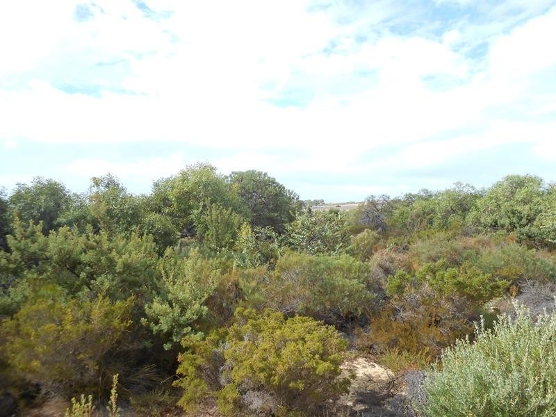 661 Ocean Farm Drive, Nilgen WA 6044