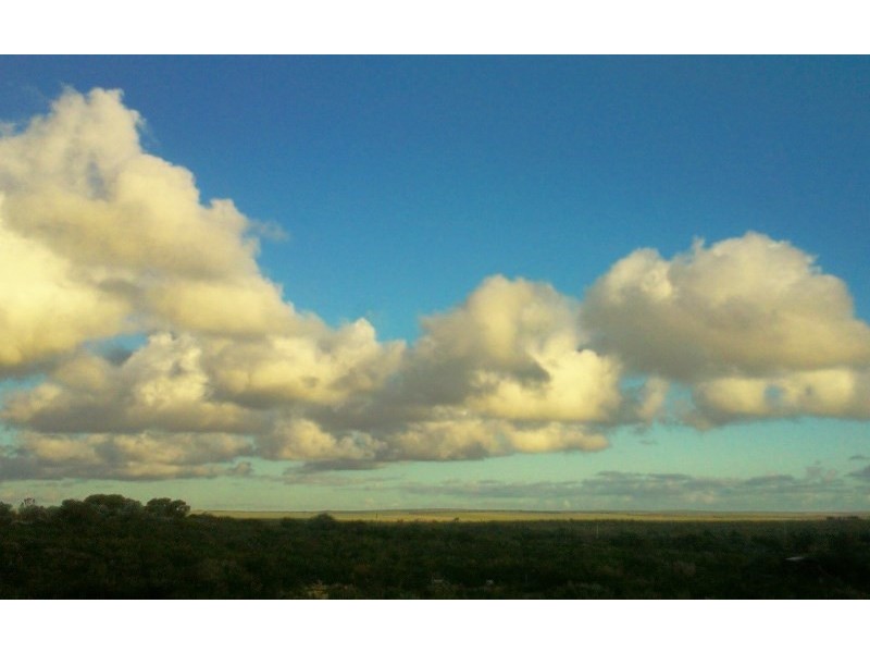 9 Redheart Court, Lancelin WA 6044