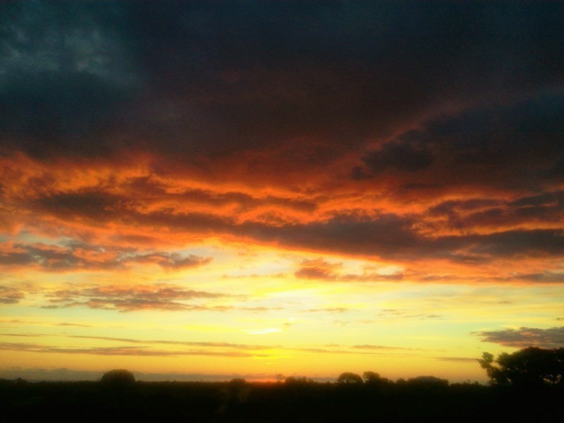 9 Redheart Court, Lancelin WA 6044