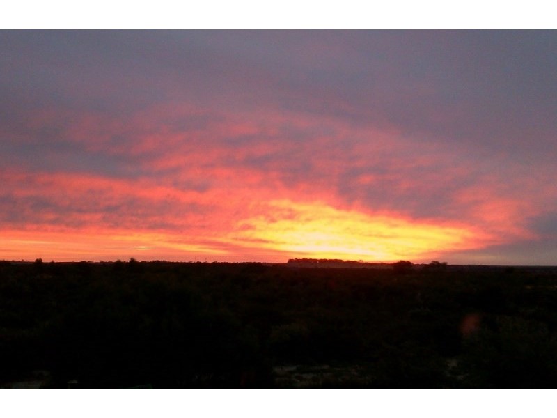 9 Redheart Court, Lancelin WA 6044